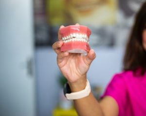 Model of dentures in Waterbury. 