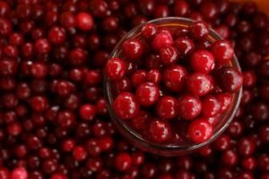 Fresh cranberries in bowl